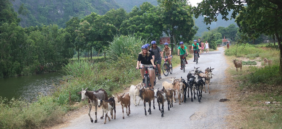 hanoi bike tours